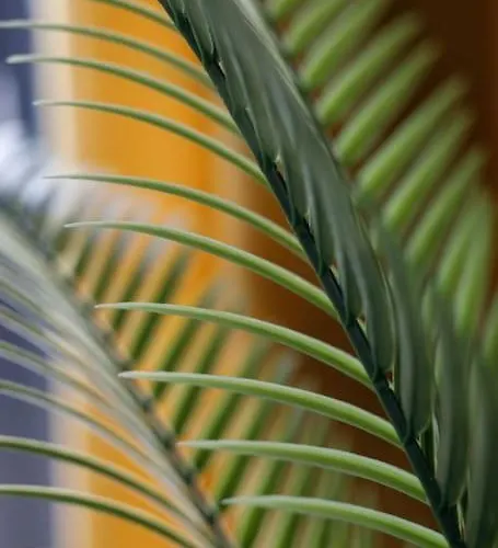 Golden - Stylish Loft - Great Location &jana Pawla33 Appartement